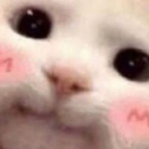 Meet your Posher, Chelsea